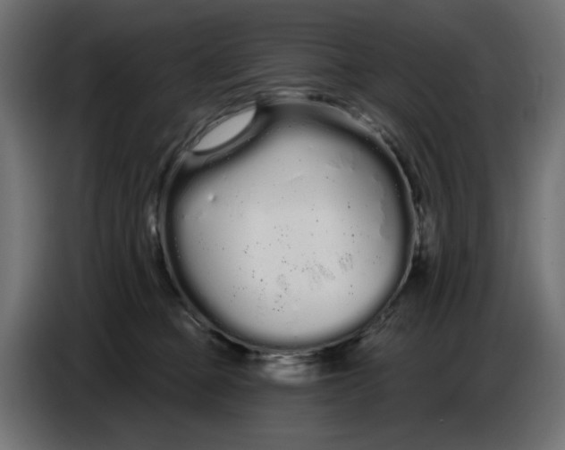 X0000086780373200705041533