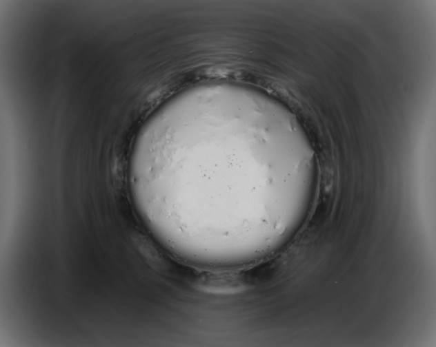 X0000086780375200705041533