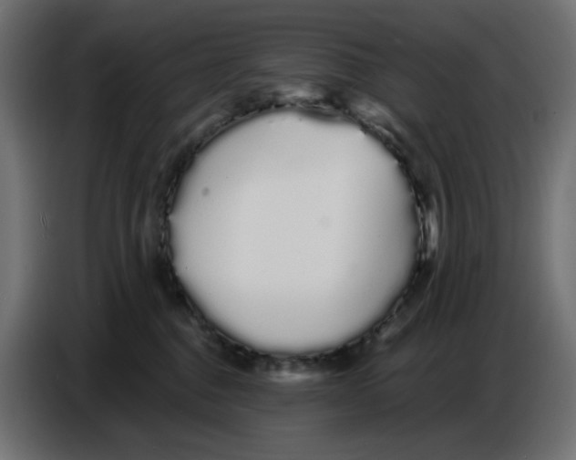 X0000086780376200705041533