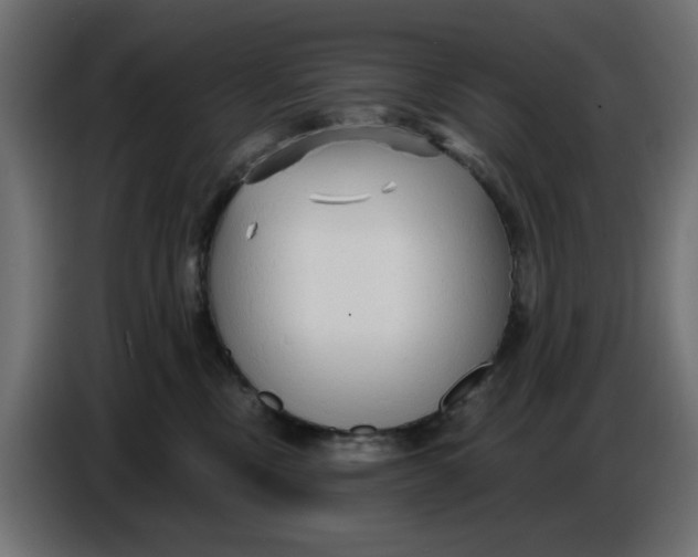 X0000086780378200705041533