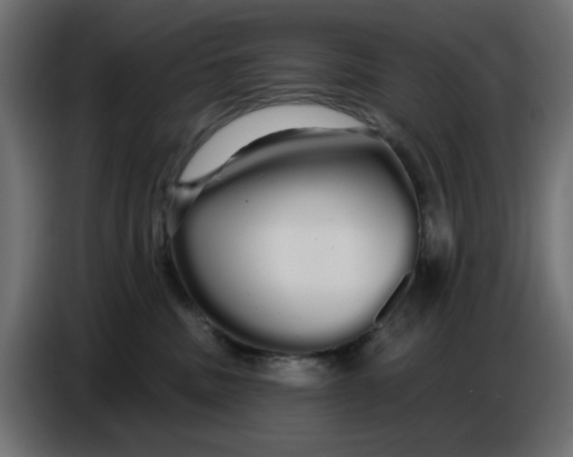 X0000086780379200705041533