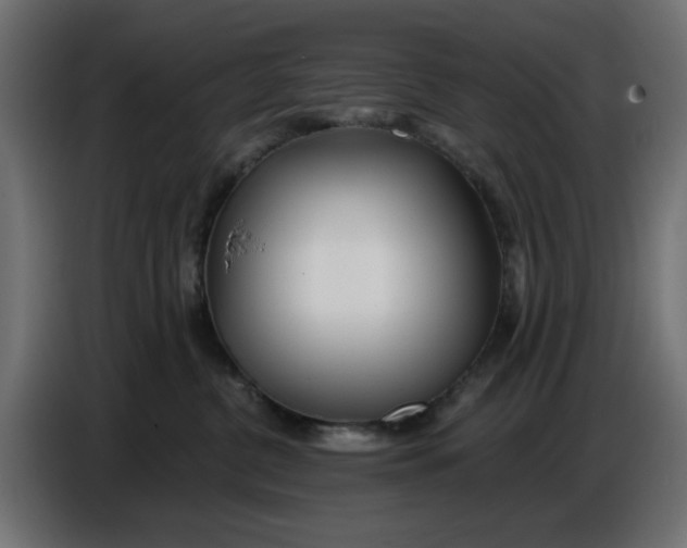 X0000086780380200705041533