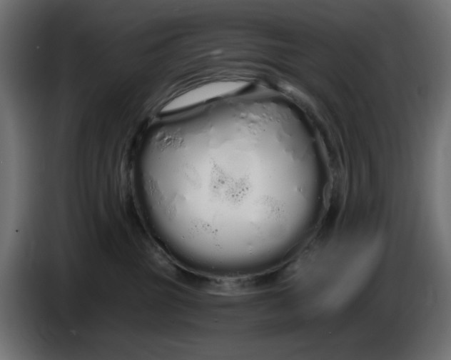 X0000086780381200705041533