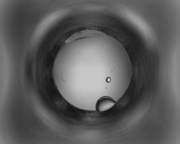 X0000086780382200705041533