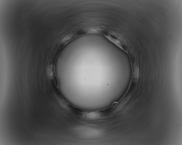 X0000086780383200705041533