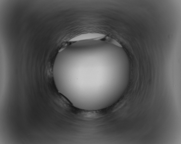 X0000086780384200705041533