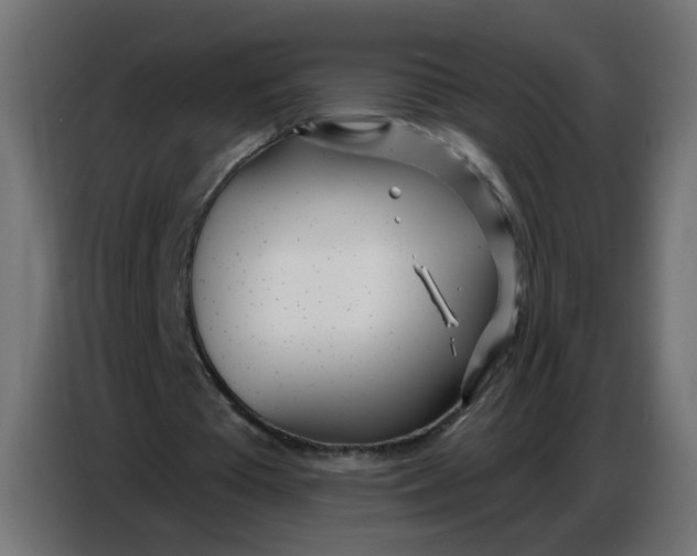 X0000086780385200705041532