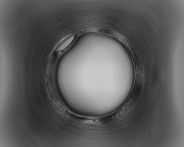 X0000086780386200705041532