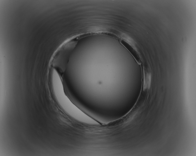 X0000086780387200705041532