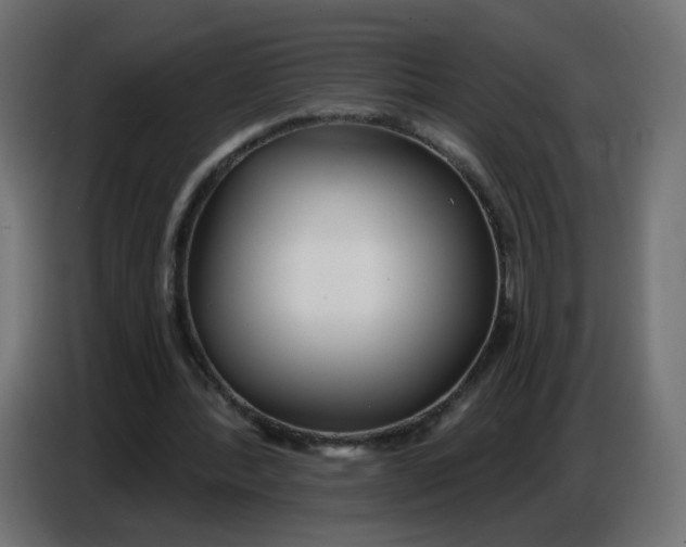 X0000086780388200705041532