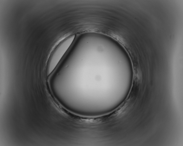 X0000086780390200705041532