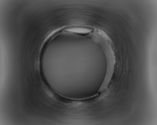 X0000086780391200705041532