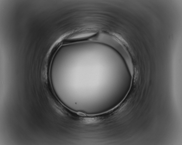 X0000086780392200705041532