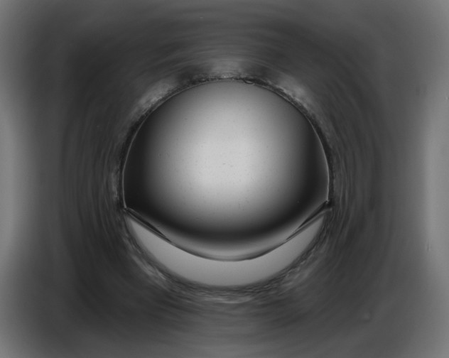 X0000086780393200705041532