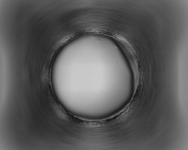 X0000086780394200705041532