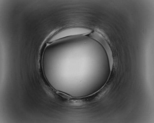 X0000086780395200705041532