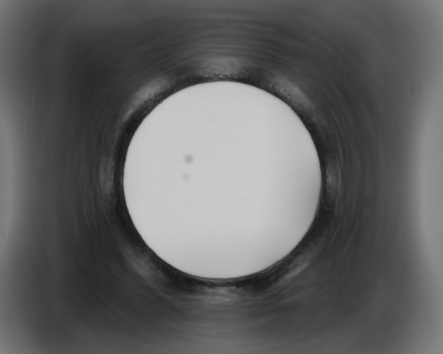 X0000086780396200705041532