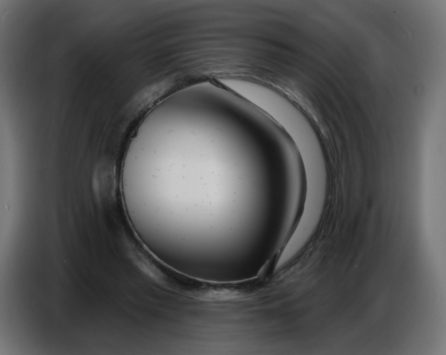 X0000086780397200705041532