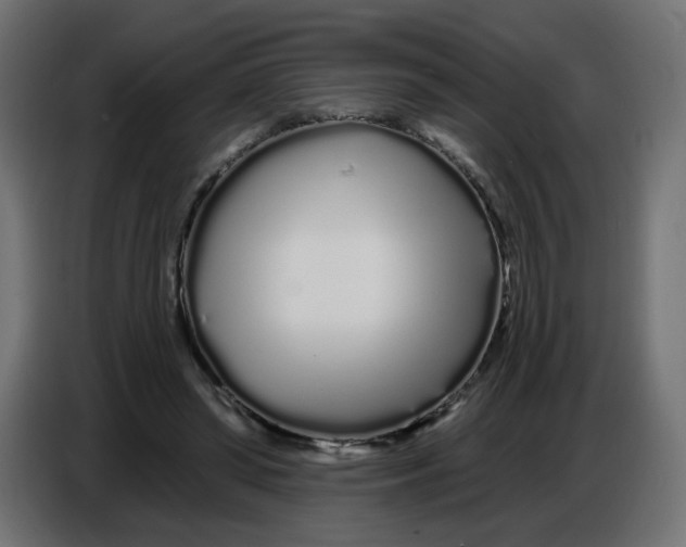 X0000086780398200705041532