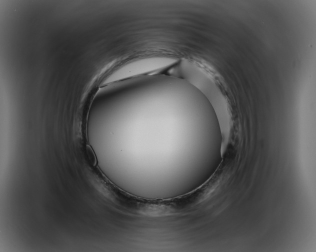 X0000086780399200705041532