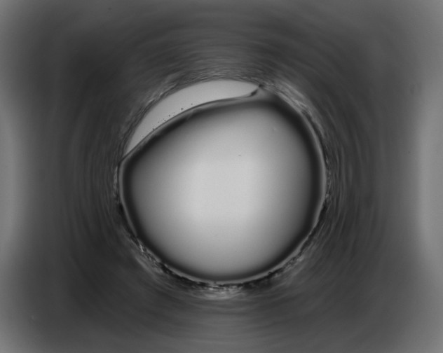 X0000086780401200705041532