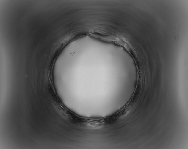 X0000086780402200705041532