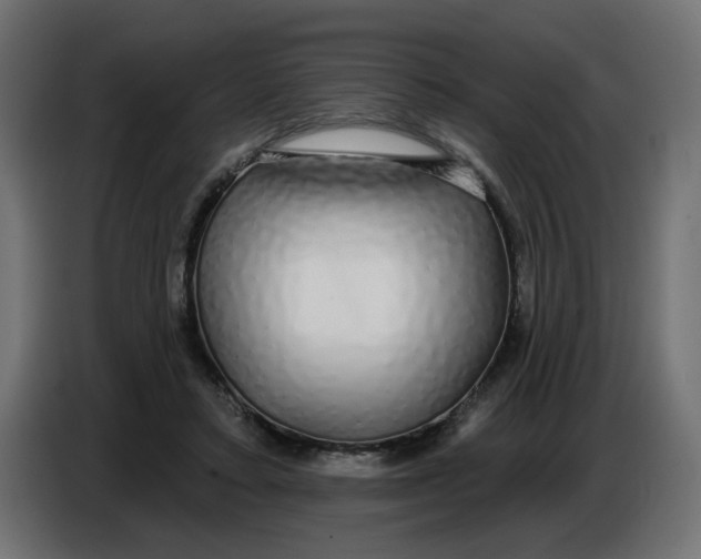 X0000086780403200705041532