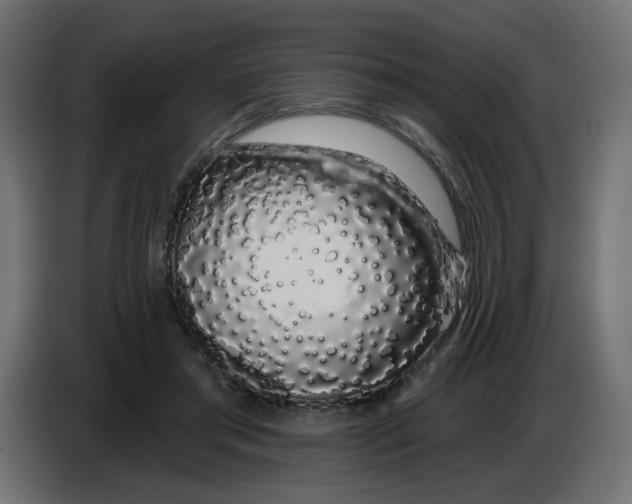 X0000086780405200705041532