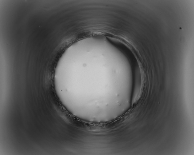 X0000086780406200705041532