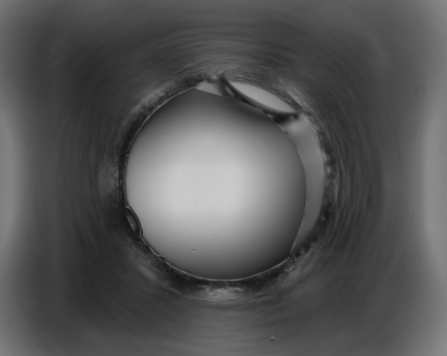 X0000086780407200705041532