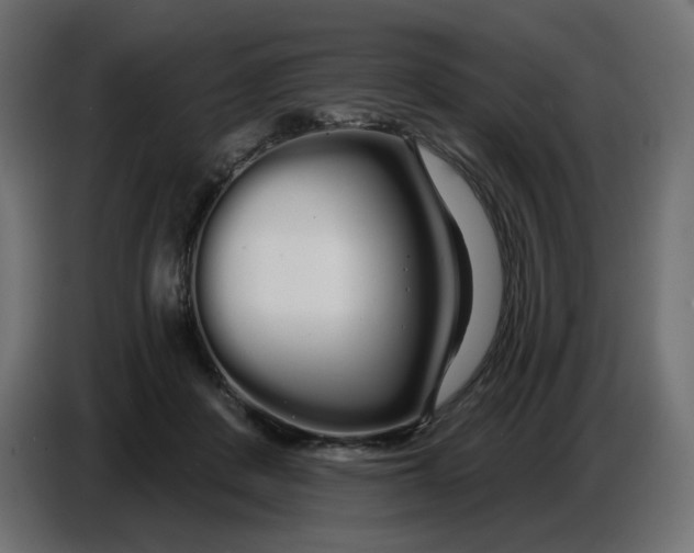 X0000086780408200705041532