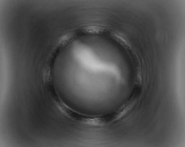 X0000086780411200705041532