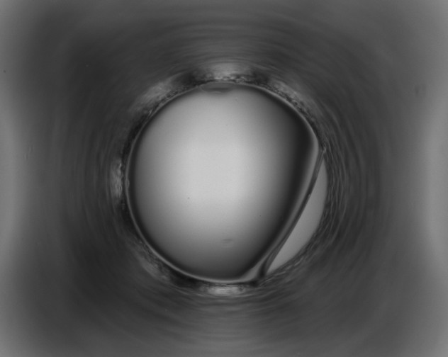 X0000086780413200705041532