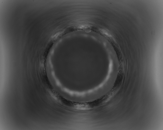 X0000086780415200705041532