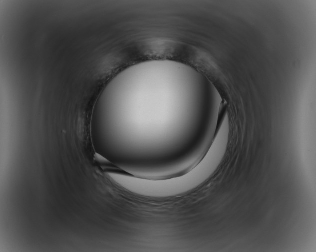 X0000086780416200705041532