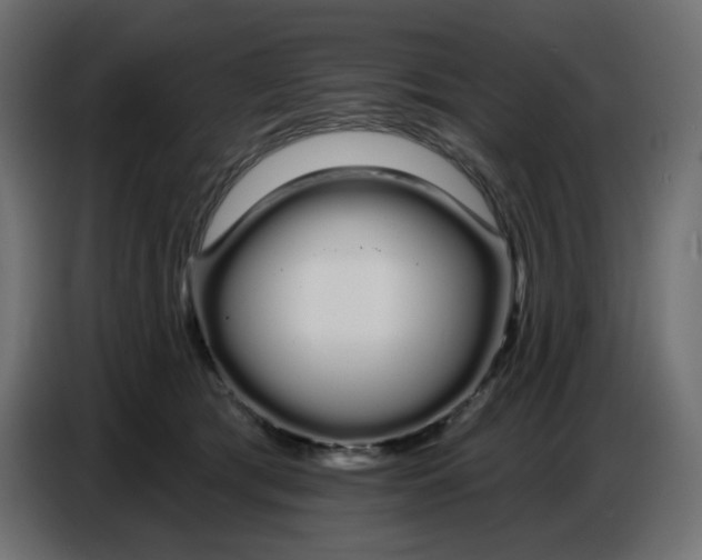 X0000086780417200705041532