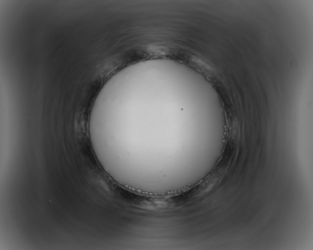 X0000086780418200705041532