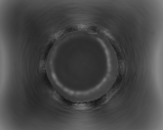 X0000086780419200705041532