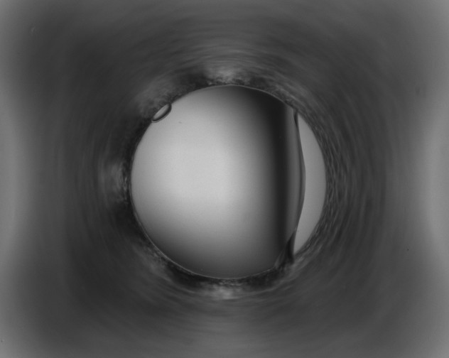 X0000086780420200705041532