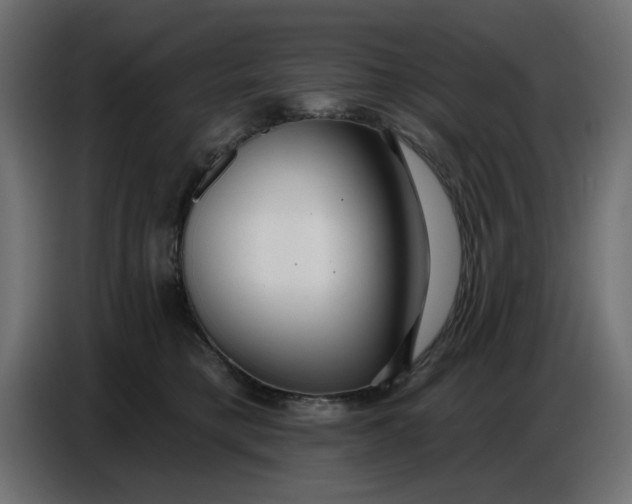 X0000086780421200705041532