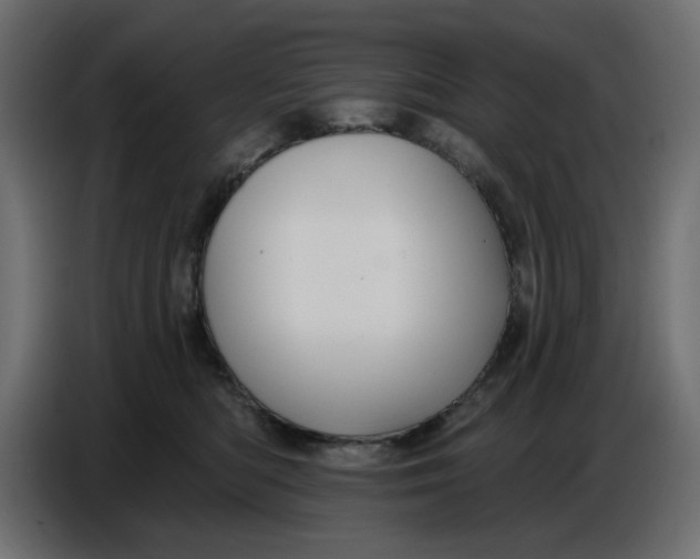 X0000086780422200705041532