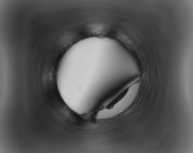 X0000086780424200705041532