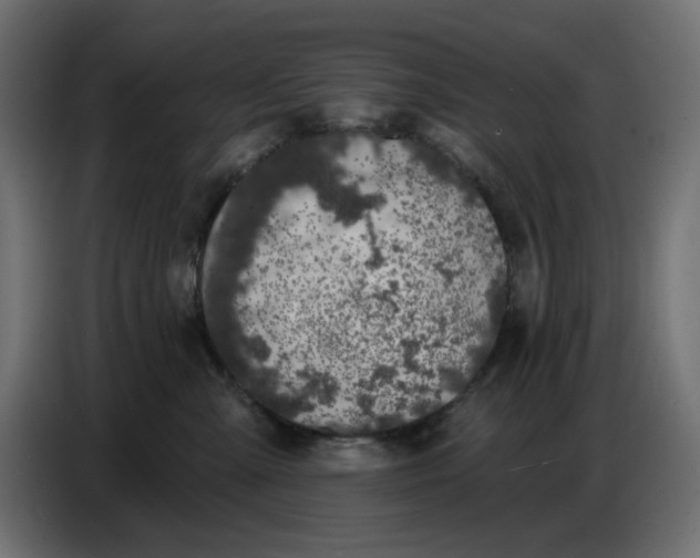 X0000086780427200705041532