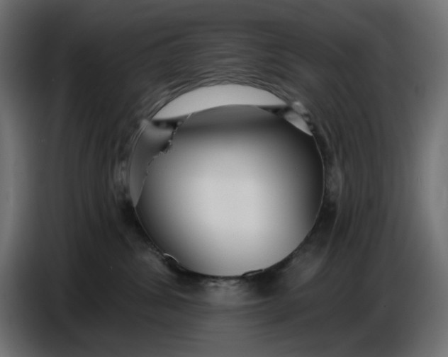 X0000086780428200705041532