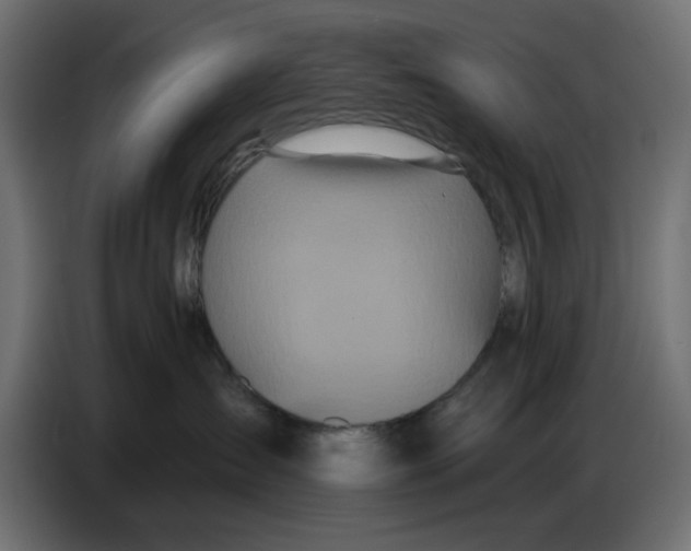 X0000086780431200705041532