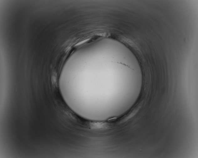 X0000086780432200705041532