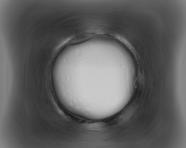 X0000086780433200705041531