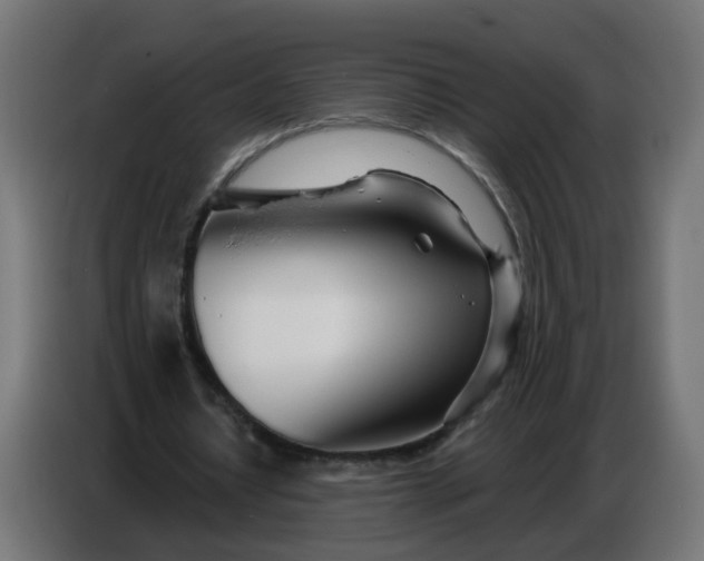 X0000086780434200705041531