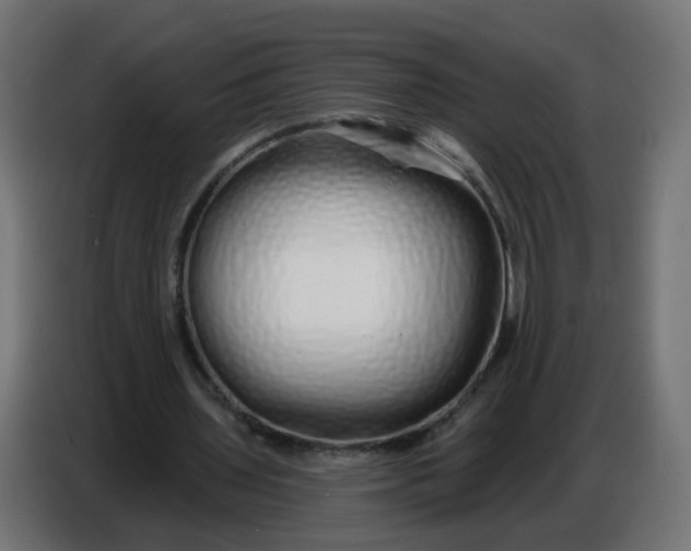 X0000086780435200705041531