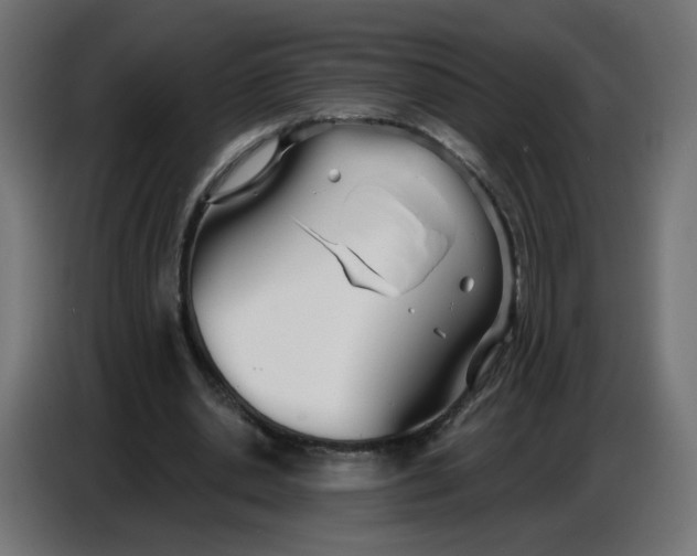 X0000086780438200705041531